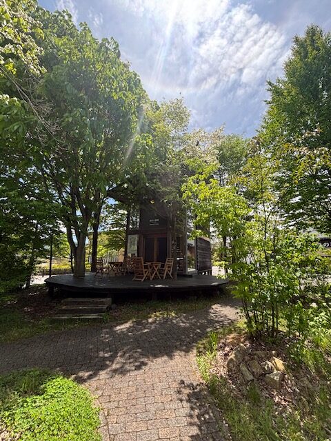 曇りのち晴れの飛騨高山に行ってきました。